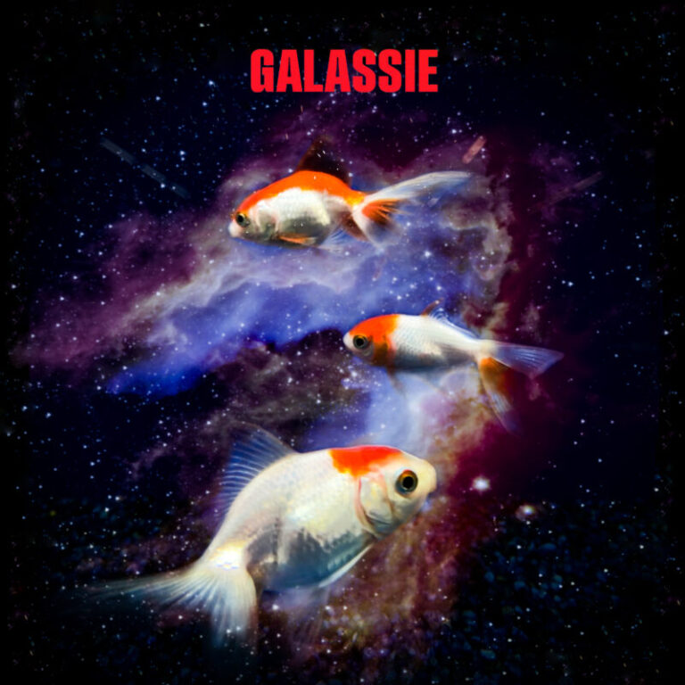 Baleno, l’EP d’esordio delle Galassie fuori il 18 marzo